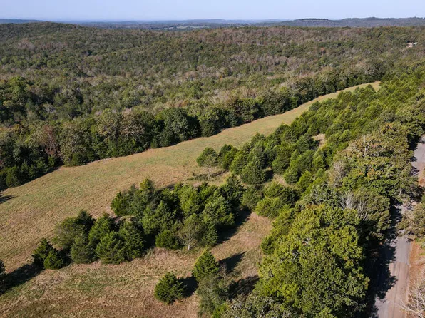 000 County Road 642, Theodosia, MO 65761