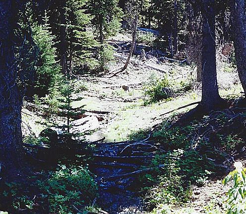 2nd image of Ahtanum