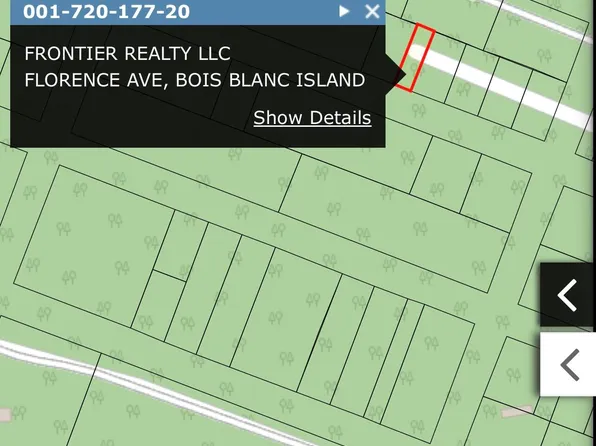 424344B19 Florence Ave, Pointe Aux Pins, MI 49775