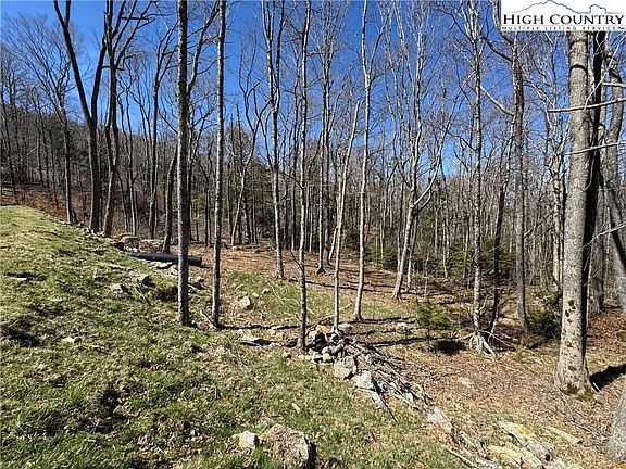 4th image of ES71 Twisted Oak Path