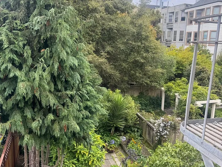1459 Haight St #5 — Photo 30