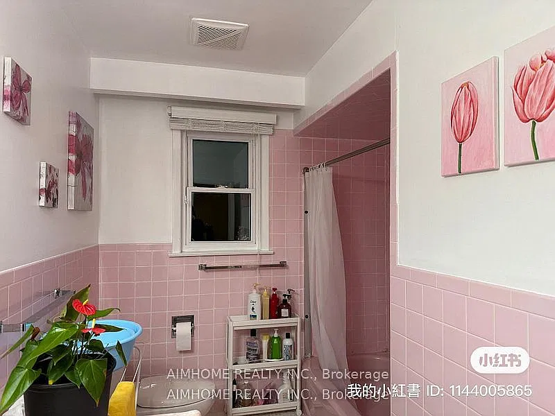 1 bed, $980 — Photo 4
