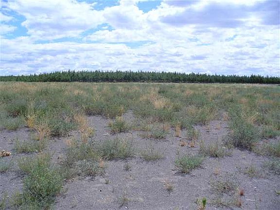 2nd image of 26395 Road U SW