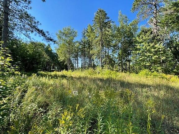 3rd image of 0 Mack Lake Road