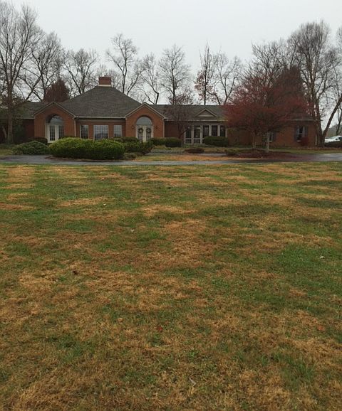 1st image of 785 Stoneleigh Dr