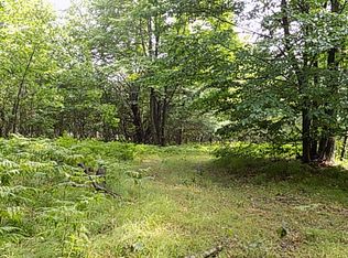 10980 River Rd, Evart, MI 49631