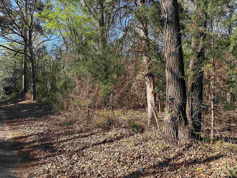 1st image of LOT 5 County Road 476 S