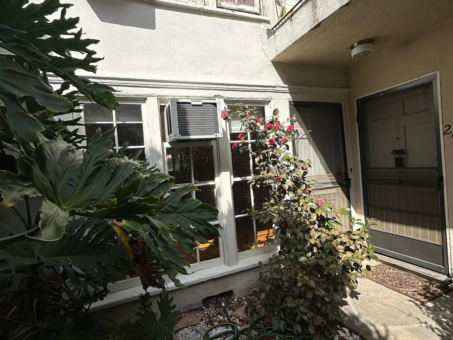 1 bed, 800 sqft, $2,400 — Photo 3