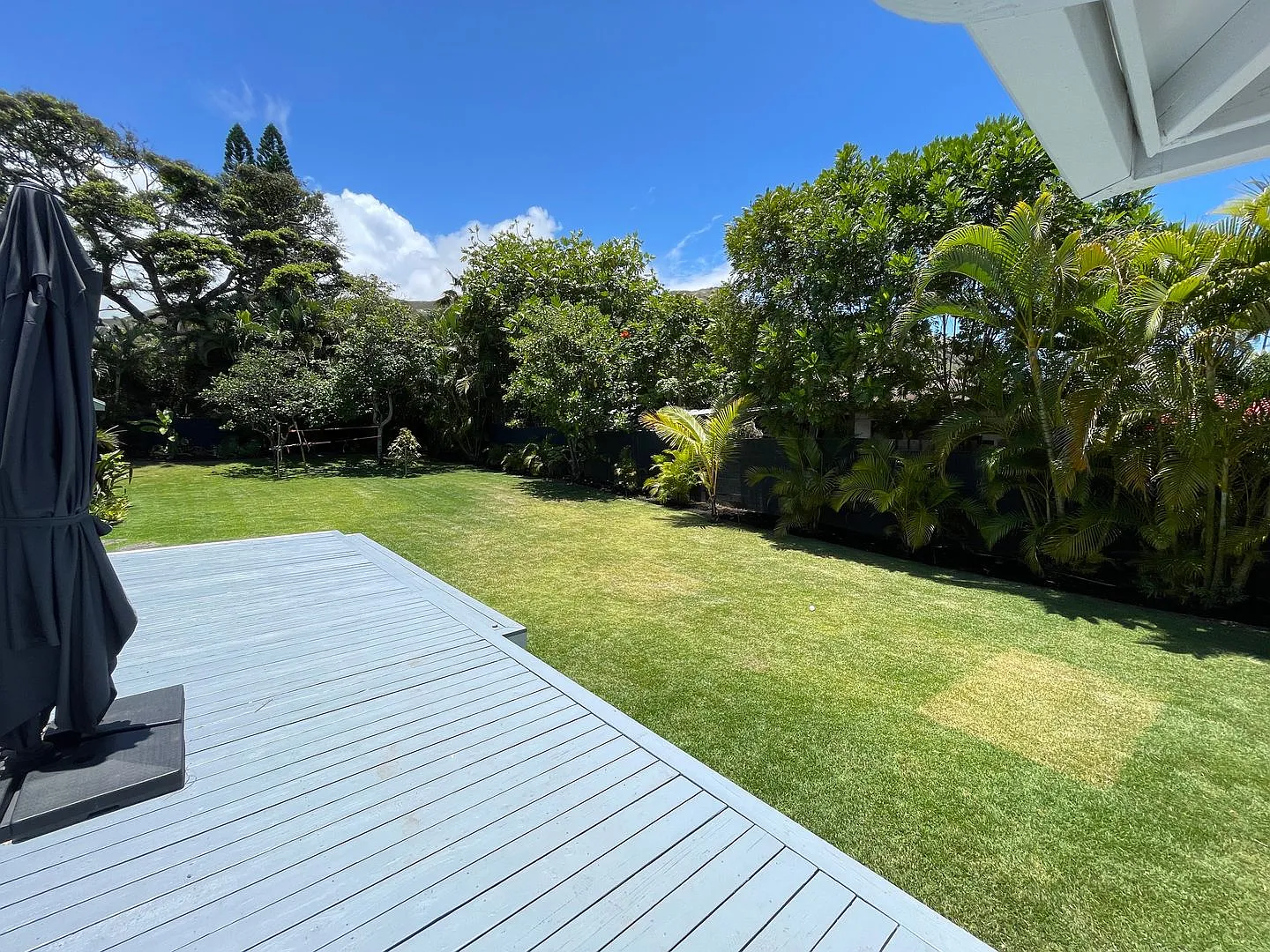 Newly Updated - Fully Furnished Lanikai Beach Oasis 3BR/2BA Home — Photo 4
