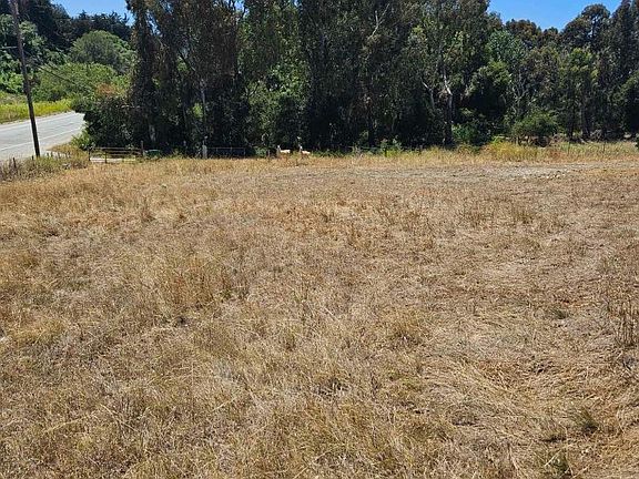 5th image of 603 Carpenteria Rd