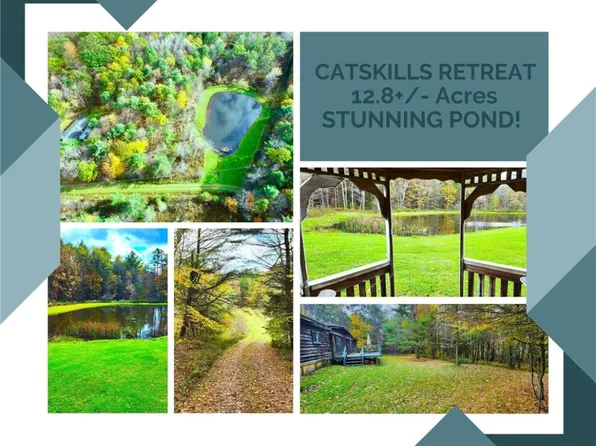 1460 Monkey Run Rd #3, East Meredith, NY 13757