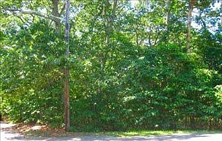 1st image of 45 Holden Ave