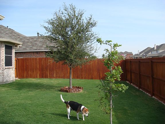 5th image of 8820 Weller Ln