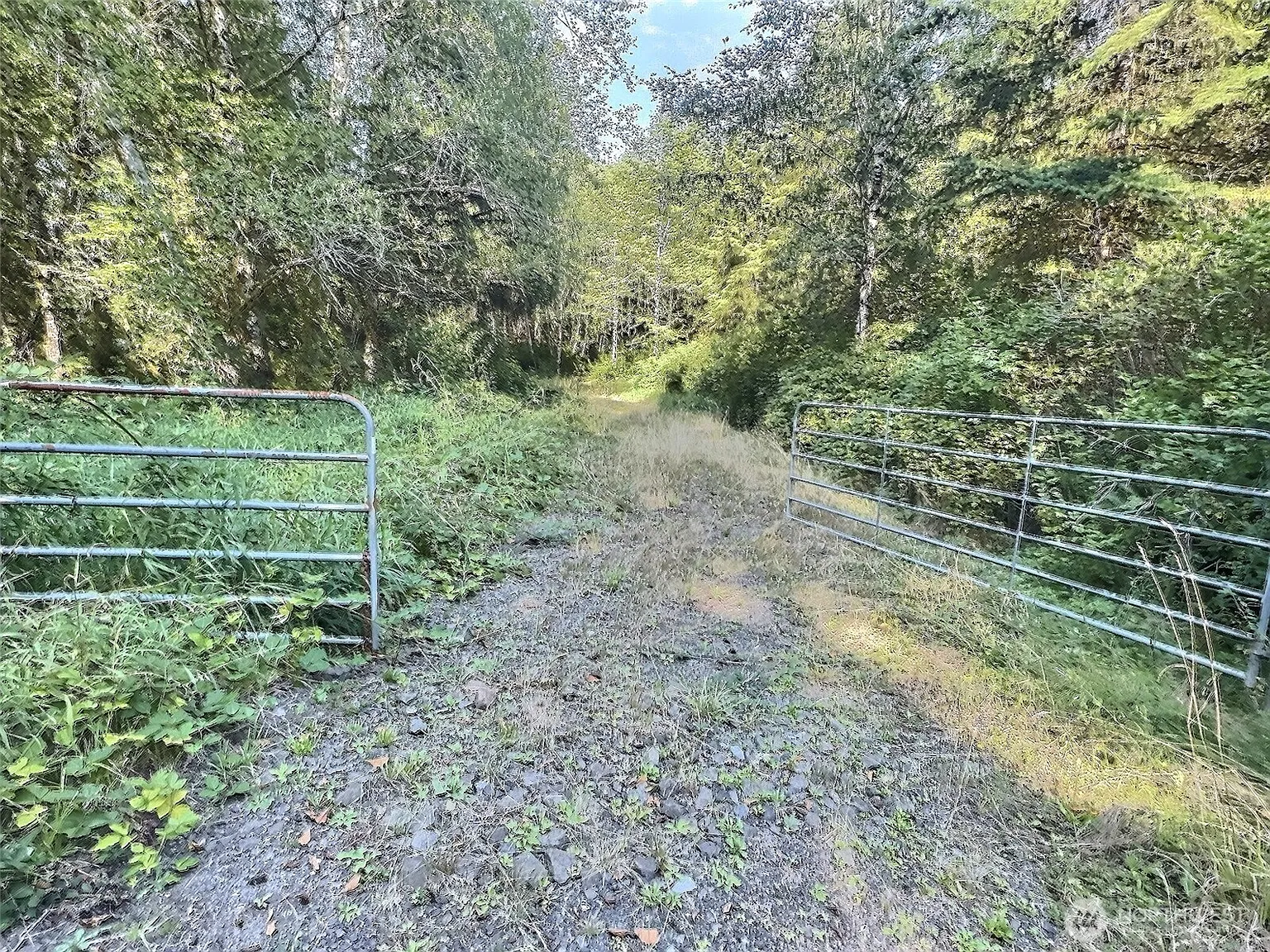 282 Butte Creek Road photo 1