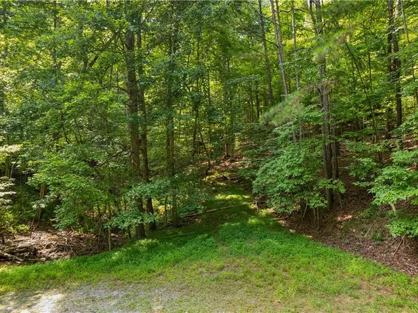 0 Noah Ct #482, Ellijay, GA 30540