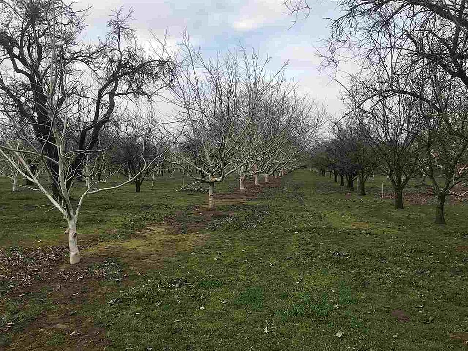 0 Oak Way, Chico, CA 95973 Zillow