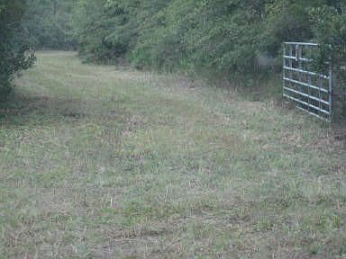 1st image of 240 SE 311th Ave