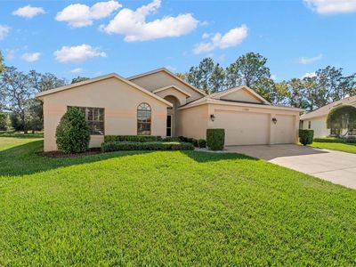 11363 Copley Ct, Spring Hill, FL, 34609
