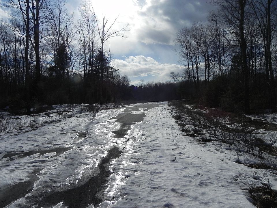 Carlisle Lane