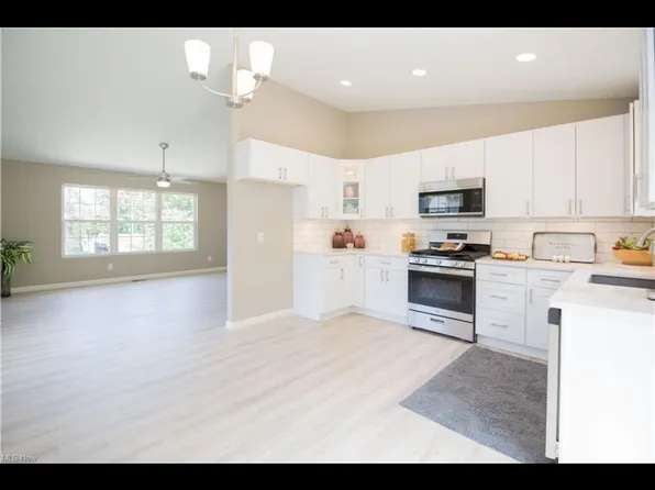 1175 Bryce Ave, Aurora, OH 44202