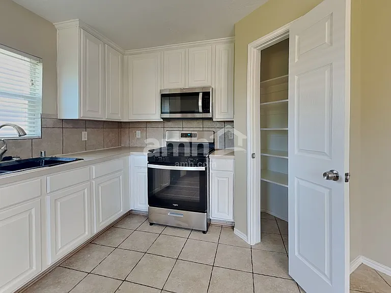 20003 Mammoth Falls Dr — Photo 4