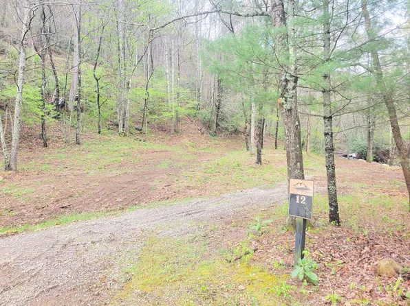 120 Tumbling Falls Dr, Canton, NC 28716