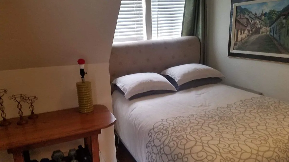 1 bed, 1.0 bath, 800 sqft, $1,450 — Photo 4