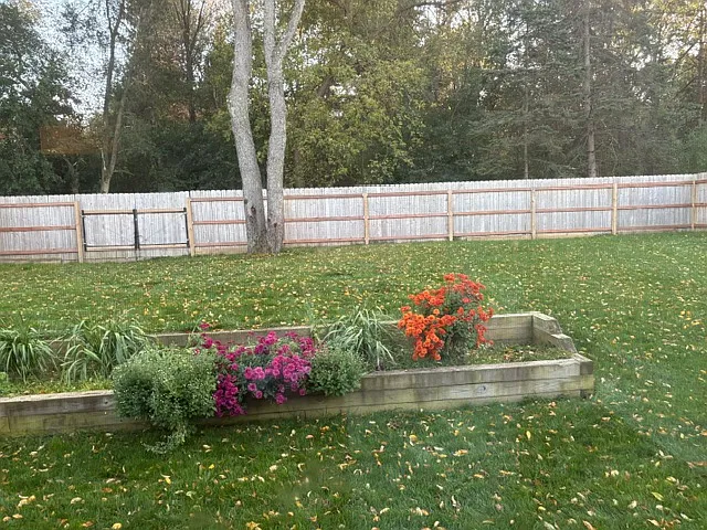 Wilder St, Haslett — Photo 4
