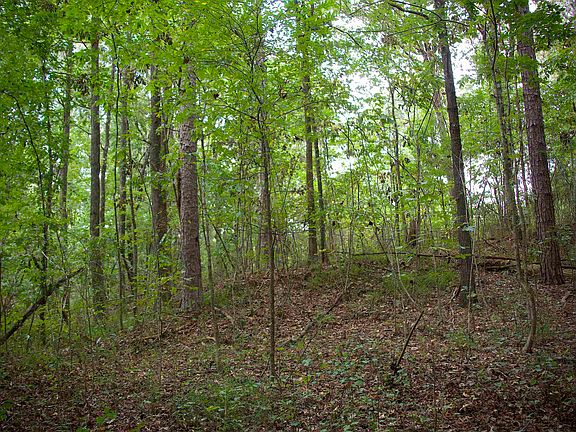 2nd image of 914 Park Swain Rd