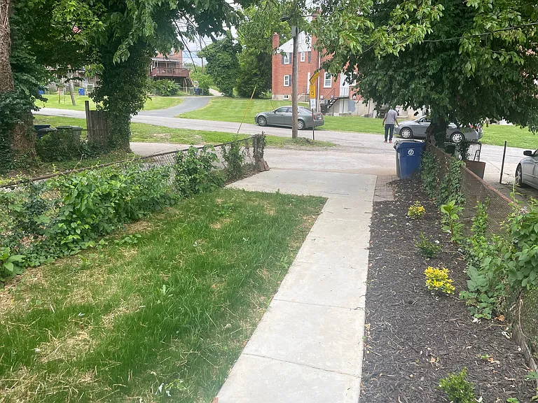 back yard with parking pad