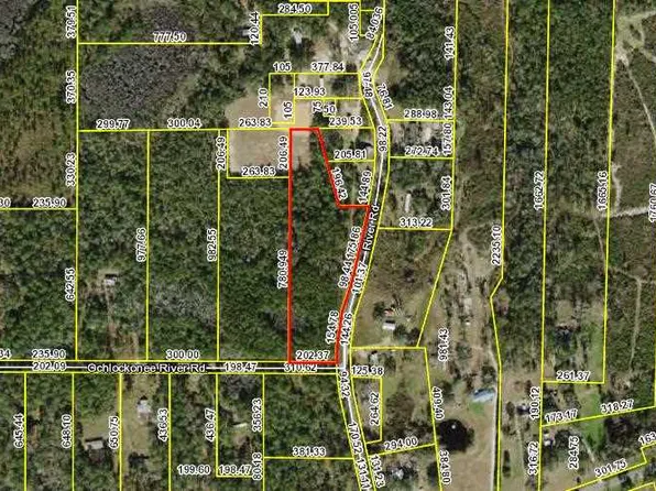 Ochlockonee River Rd, Havana, FL 32333