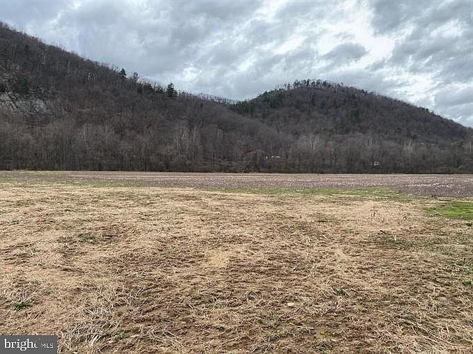 2nd image of Stump Ln