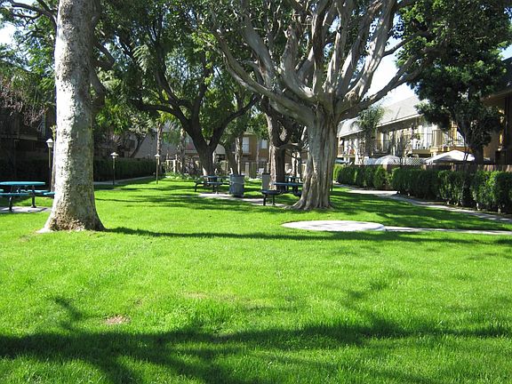 Picnic area