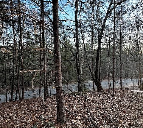 5th image of 18 Hidden Branch Dr