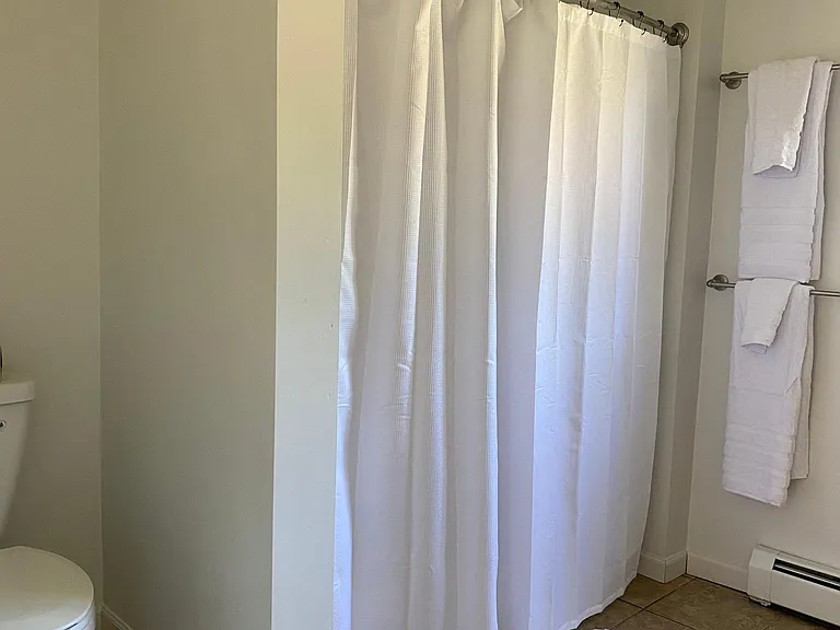 Downstairs bathroom with tub
