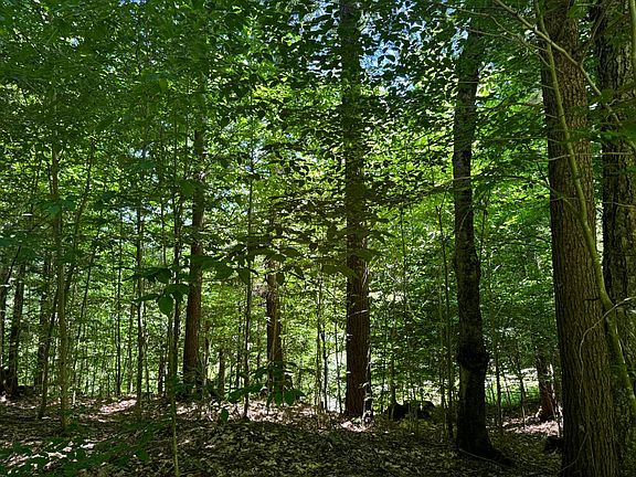 5th image of 15 Carleton Pond Rd #15