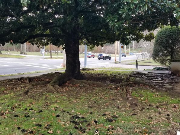 huntington-west-virginia-22405816 picture