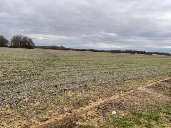 900 Roy Newton Rd, Des Arc, AR 72040
