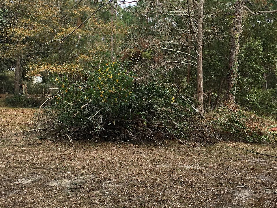 15354 Delta Port Blvd, Coden, AL 36523 | Zillow