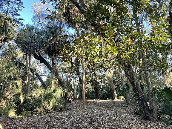 2nd image of 539 Oristo Rdg