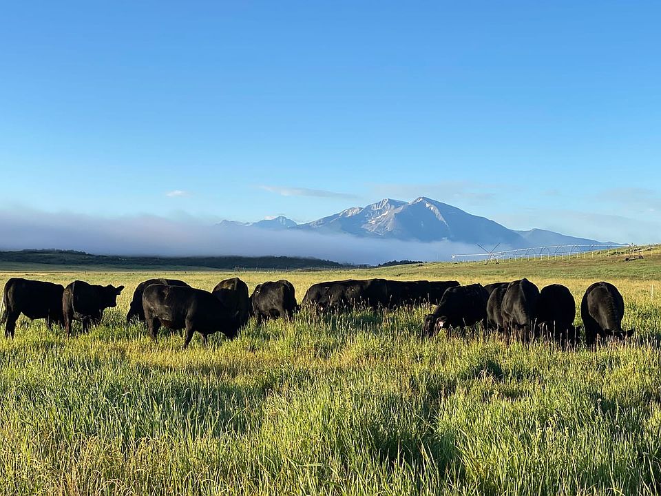 Grazing Sopris Fog