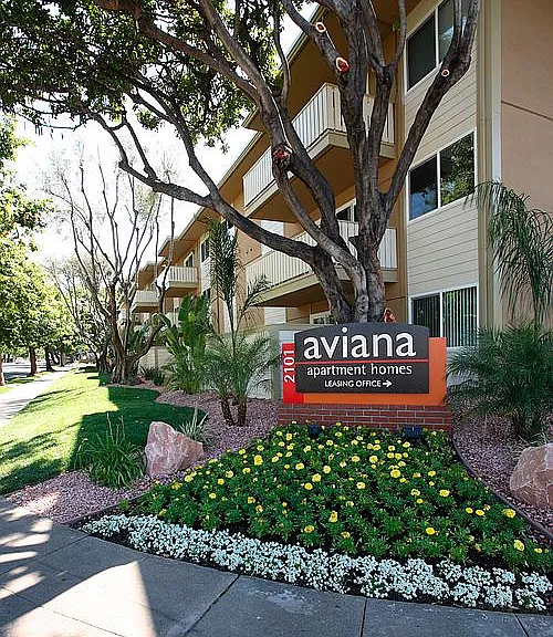 Aviana — Photo 20