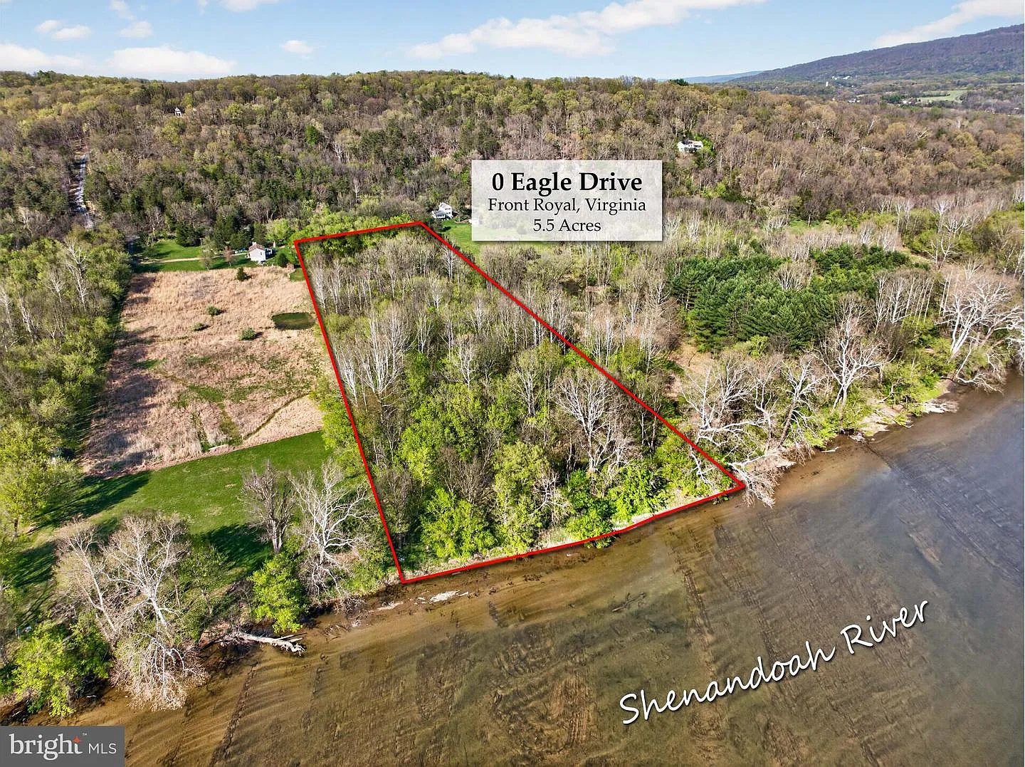 55 Eagle Dr photo 1