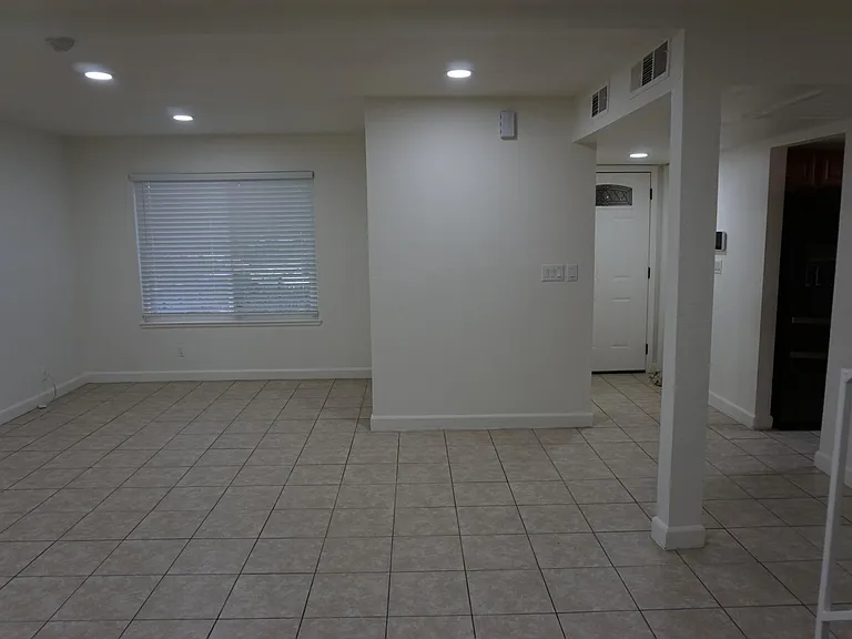 Living room and entrance