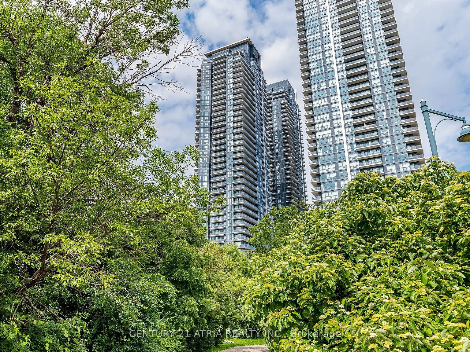 3 bed, $3,100 — Photo 2