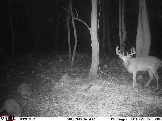 1st image of 0 Raccourci Island Rd