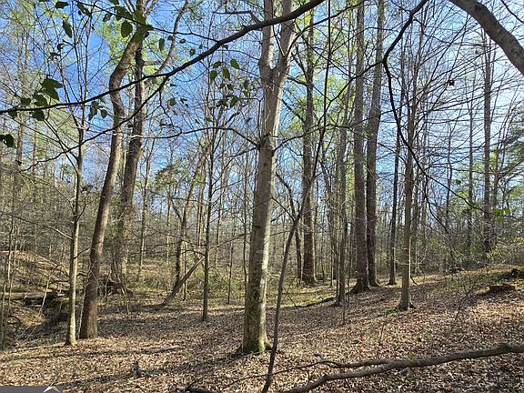 5th image of 0 Willis Glenn Rd