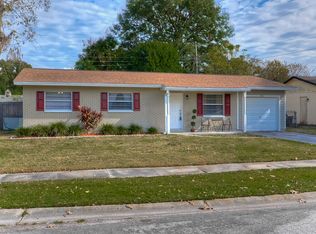 19113 Amelia Cir, Lutz, FL 33558