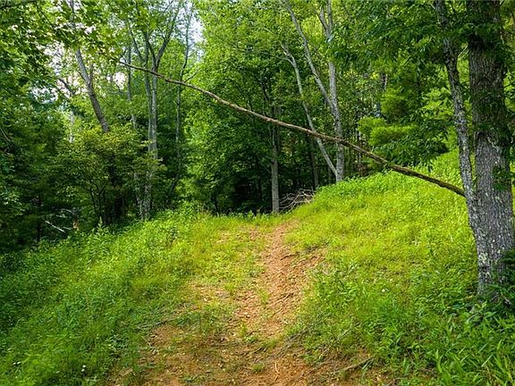 5th image of LOT 3 N Fork Dr