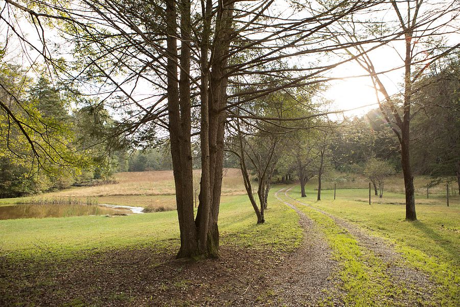 View of the driveway